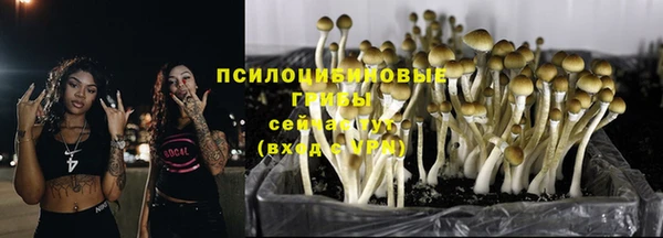 ПСИЛОЦИБИНОВЫЕ ГРИБЫ Беломорск