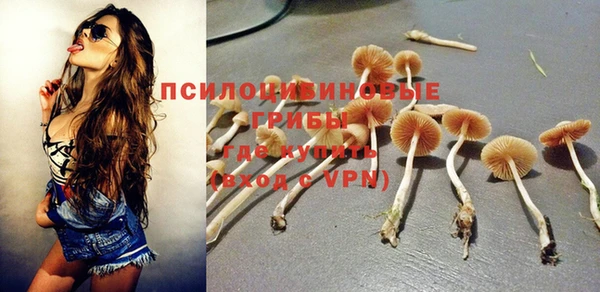 Альфа ПВП Белокуриха