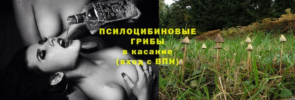 Альфа ПВП Белокуриха