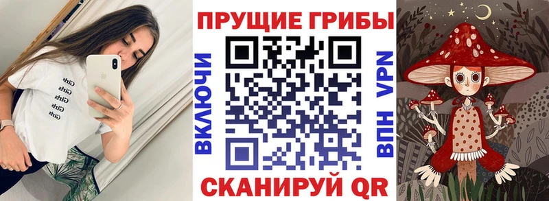 Галлюциногенные грибы мицелий  OMG ссылки  Очёр 